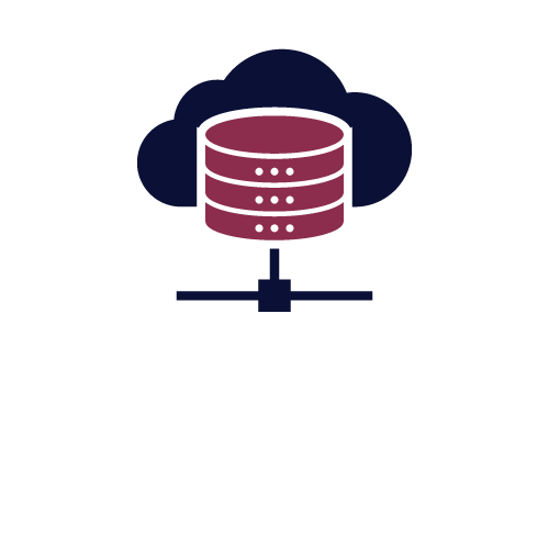Hosting SSD